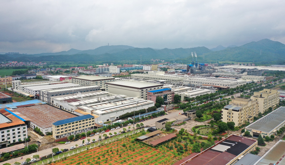 masking tape plant area.jpg